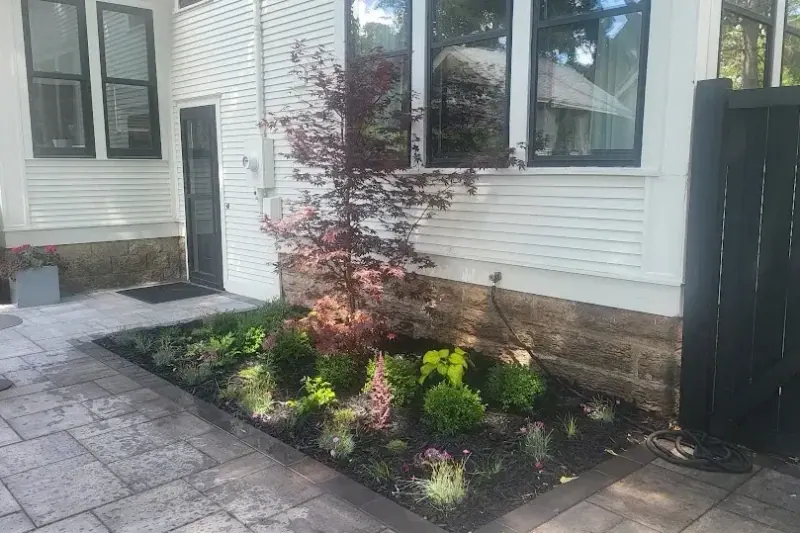 Plant Area
